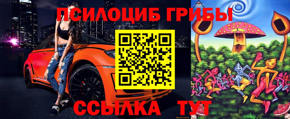 Галлюциногенные грибы Psilocybe Москва