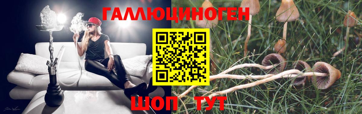 Галлюциногенные грибы Psilocybe  Псилоцибиновые грибы прущие грибы  Вход с VPN  Москва 